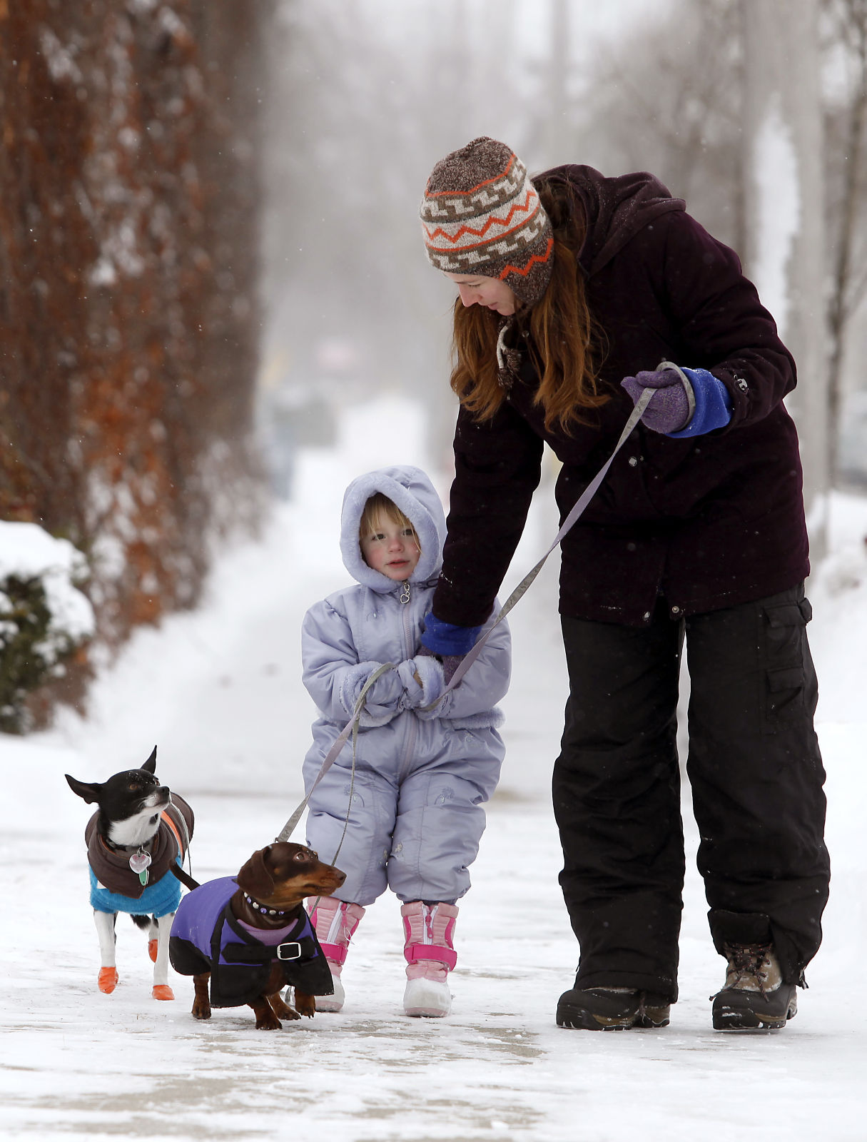 Groundhog Day Blizzard 2011